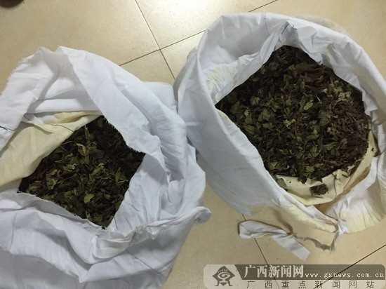 "毒品快件"现梧州 牵出一涉嫌走私毒品恰特草案
