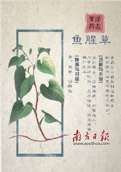 传统中医药怎么搭乘信息化快车？