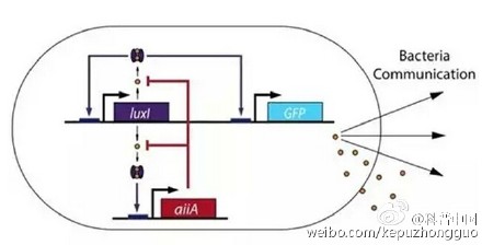 你相信吗，癌症将不再是不治之症？