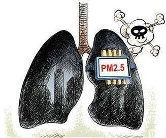 PM2.5对肺癌发生的影响到底有多大？