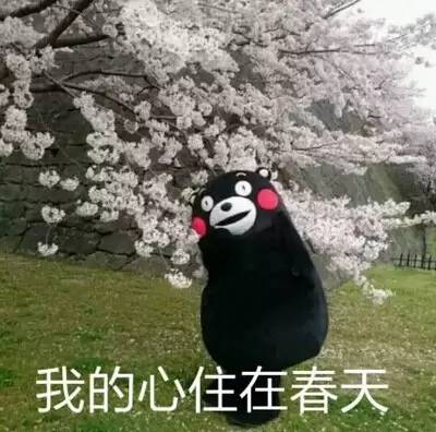 蜘蛛是昆虫吗？