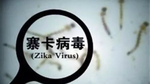 中国科学家揭开寨卡病毒复制奥秘