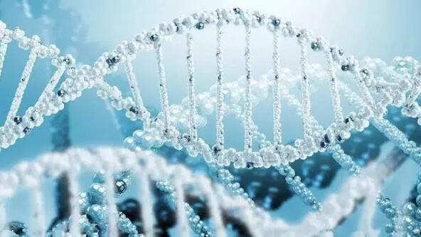 科学并不等于正确？我们来听听何继善院士怎么说！