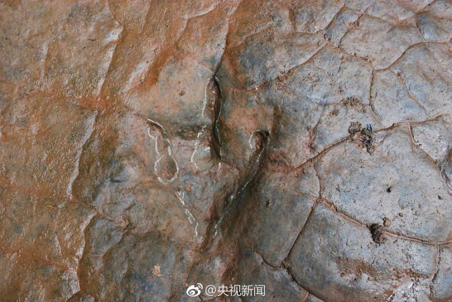 河滩出现“脚印” 竟是一亿年前恐龙足迹【3】
