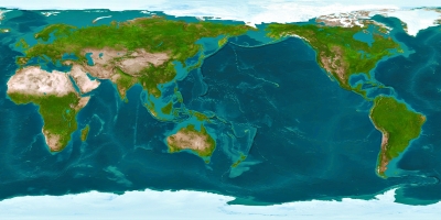 《科学》杂志上报告说,在地球表面存在着大片此前没有记录的森林,面积